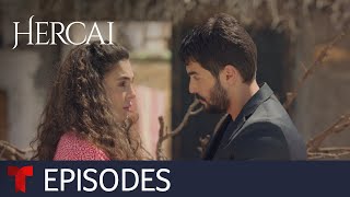 Hercai Amor y venganza New Season  Episode 33  Telemundo English [upl. by Ahsietal529]