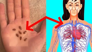 What Happens To Your Body When You Start Eating Flax Seeds Daily [upl. by Eduino]