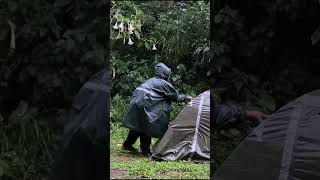 CAMPING IN HEAVY RAIN shorts campinginheavyrain campingintherain solocamping camping [upl. by Nolrev]