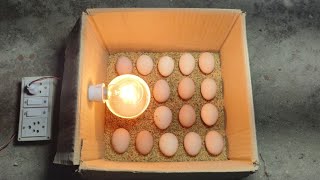 Incubator for chicken eggs  How to hatch a chicken egg at home [upl. by Tamiko]