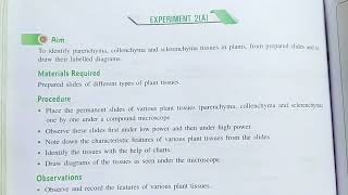 Unlock the Secrets of the Parenchyma Collenchyma and Schlerenchyma Experiments [upl. by Shere808]