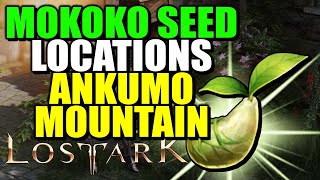 Mokoko Seed Locations Ankumo Mountain  Lost Ark [upl. by Notsirk]