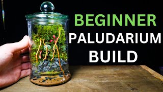 Nano Paludarium Tutorial  EASY Beginner Friendly Guide [upl. by Josepha]