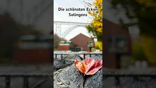 Die schönsten Ecken von Solingen Highlights solingen shorts wanderung [upl. by Drucilla]