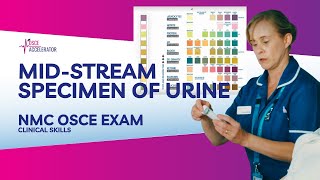 NMC OSCE  Mid Stream Specimen of Urine  OSCE Guide [upl. by Ahsinak459]