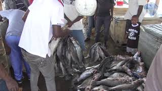 Migingo Island a rocky marriage between Uganda and Kenya [upl. by Peppard]