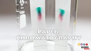 Paper Chromatography  Science Project [upl. by Arrej]