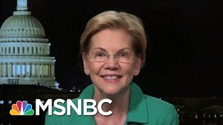 Elizabeth Warren Giant Corporations Are Squeezing Out Family Farms  Hardball  MSNBC [upl. by Tamsky]