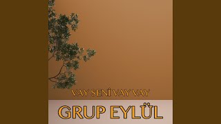 Vay Seni Vay Vay [upl. by Barn]