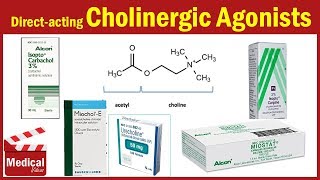 Pharmacology ANS 6 Direct Acting Cholinergic Agonists  Acetylcholine  Carbachol  Methacholine [upl. by Berton]