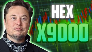 HEX PRICE WILL SOAR TO X9000  HEX IS FINALLY DOING IT [upl. by Viveca]