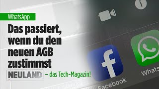 WhatsApp Das passiert wenn du den neuen AGB zustimmst  Neuland [upl. by Annecorinne]