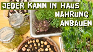 Gärtnern im Haus im Winter  Aussaat und Ernte Microgreens Keimsprossen Kräuter  Indoorgardening [upl. by Pinckney]