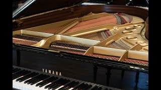 Yamaha C5 Grand Piano  Demo at Kims Piano Stanton Showroom [upl. by Htebazle]