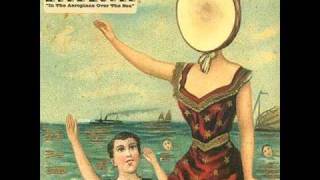 Neutral Milk Hotel  TwoHeaded Boy [upl. by Rosati]