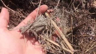 Two Easy Tricks for Faster Compost [upl. by Claybourne]