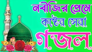 মনো প্রাণ উজাড় করা খুবই দুঃখের নবীজির গজল গজলটি একটিবার শুনেন Bangla Gojol 2024 Gojol Tv [upl. by Amikahs723]