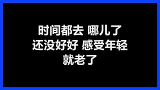 【原唱】 王铮亮  《时间都去哪儿了》 歌词 [upl. by Nohsal]