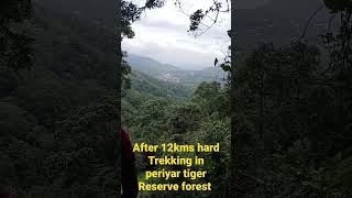 trekking in periyar tiger Reserve forest thekaddy [upl. by Chan]