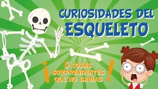 5 COSAS QUE NO SABÍAS DEL ESQUELETO HUMANO  CURIOSIDADES FASCINANTES PARA NIÑOS [upl. by Mildred]