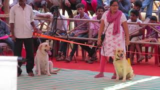 Dog Show In Karwar Karavali Utsav2018 [upl. by Penny]