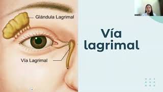 CONJUNTIVA VIA LAGRIMAL [upl. by Arodal]