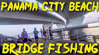 Fishing Hathaway Bridge in Panama City Beach  Giant Baits for Giant Fish [upl. by Lahcar]