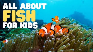 All about Fish for Kids  Learn the characteristics of fish  What is a fish [upl. by Ayor]