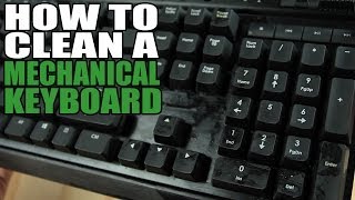 How to Clean a Mechanical Keyboard [upl. by Elehcim427]