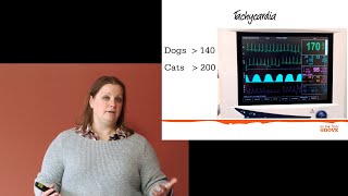 Monitoring Heart Rate Under Anesthesia [upl. by Ardekal638]