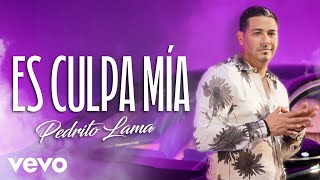 Pedrito Lama  Es Culpa Mia Video Oficial [upl. by Sterner61]