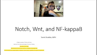 Other cell signaling mechanisms Wnt Notch NFkappaB [upl. by Llenra]