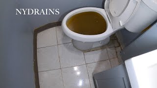 Clogged Drain 95 [upl. by Aznarepse]