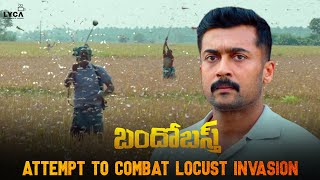 Bandobast Movie Scene Telugu  Attempt to Combat Locust Invasion  Suriya Arya  Sayyeshaa  Lyca [upl. by Mika]