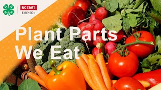 Plant Parts We Eat 4H Spark Activity [upl. by Kevina266]