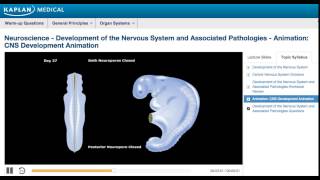 USMLE® Step 1 Neuroscience Development of CNS Animation [upl. by Ylrebnik]