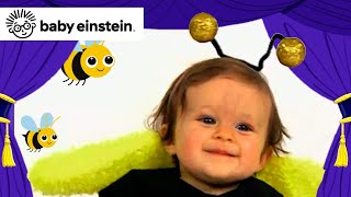 My Favorite Animals 🐝🐶🐼  New Baby Einstein Classics  Toddlers Learning Show  Kids Cartoons [upl. by Jadwiga]