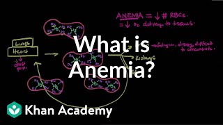 What is anemia  Hematologic System Diseases  NCLEXRN  Khan Academy [upl. by Salokcin]