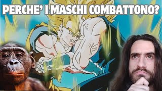 Perché i MASCHI COMBATTONO [upl. by Bigner]