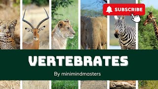 Vertebrates UnveiledAnimals with BackbonesFun learning video for kids [upl. by Muna]