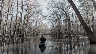 Congaree National Park 1425 [upl. by Miuqaoj196]