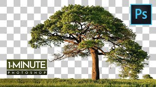 1Minute Photoshop  How to Cut Out Tree in Photoshop [upl. by Suoirred]