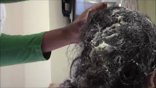 Matted Hair Detangler TAKE DOWN Review  How To  Tutorials [upl. by Enyaw]