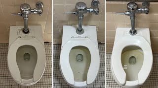 Three 2000s American Standard Afwall Toilets [upl. by Benyamin]