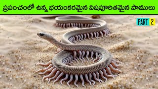 🔵 డేంజరస్ పాములు  Most Venomous Snakes in the World in telugu part 2  high venom snakes  animals [upl. by Leiru]