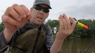 River Fishing for Catfish with Floats  Multi species slam on Mystery River [upl. by Alleon]