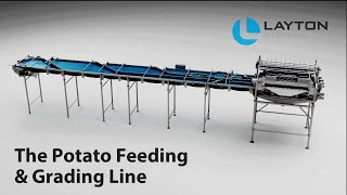 Layton Systems Automated Potato Feeding amp Grading Line [upl. by Lanoil444]