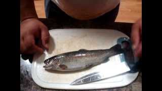 How to gut a trout [upl. by Langill]