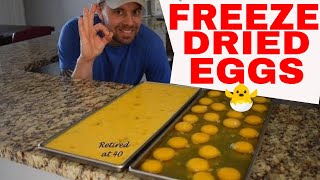 HARVESTRIGHT Freeze Dried RAW 🍳Eggs🍳 Cost and Rehydrating freezedriedeggs [upl. by Trebliw]