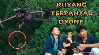 KUYANG TERPANTAU DRONE PADA SORE HARI Part1 [upl. by Sergeant]